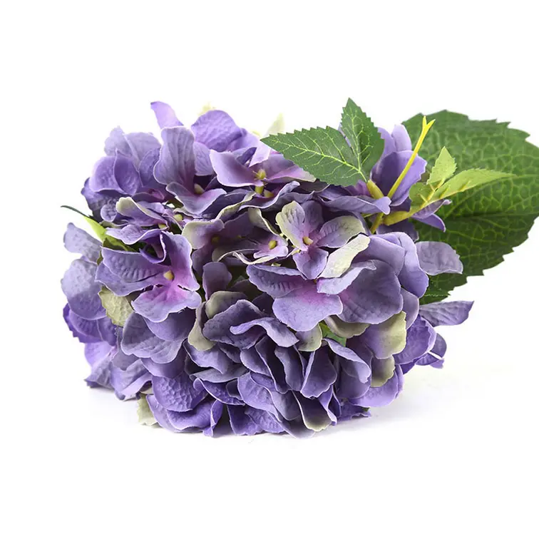 grote-hortensia-paars-detail.webp