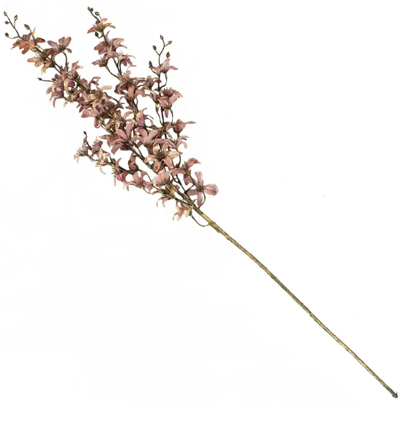 magnolia-goudpaars-1.webp