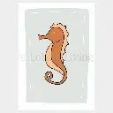 poster Zeepaardje Oranje (1).webp