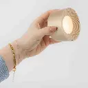 lamp (1).webp