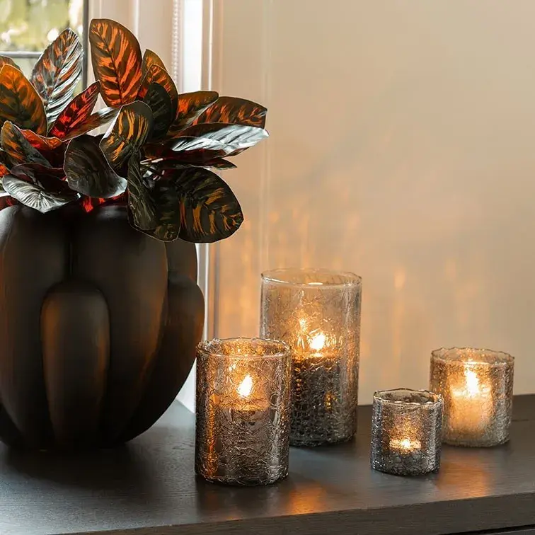 calathea-zwart.webp
