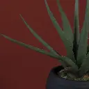 8718317757730_1.webp