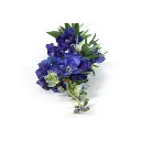 ridderspoor-blauw-detail.webp