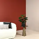 8718317808234_1.webp