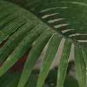 8718318049346_2.webp