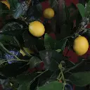 8718318048912_2.webp