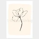 Wenskaart bloem