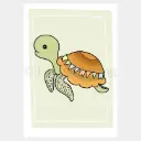 Poster Schildpad
