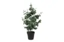 Eucalyptus (kunstplant)