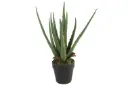 Aloë Vera (kunstplant)