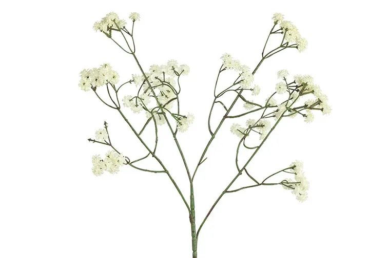 Gipskruid (kunstbloem)