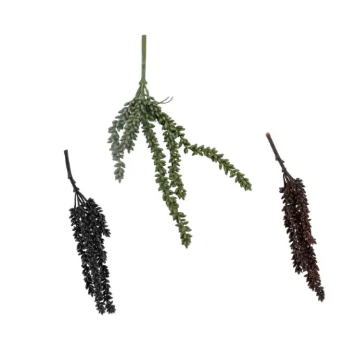 Erwtenplant (klein)
