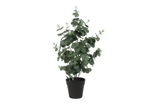 Eucalyptus (kunstplant)