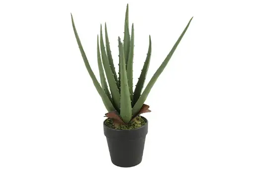Aloë Vera (kunstplant)