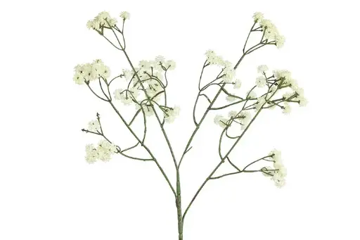 Gipskruid (kunstbloem)