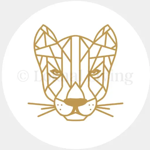 Stickerset - Panter goud/wit