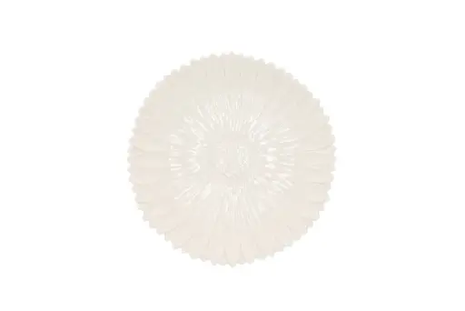 Schaaltje Daisy
