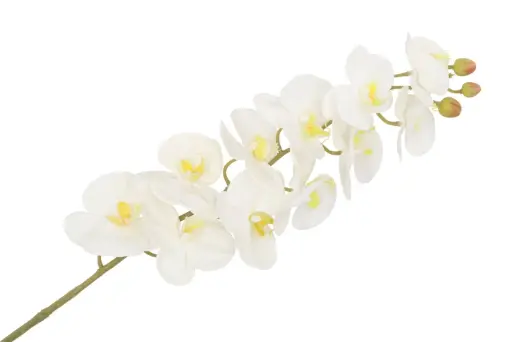 Orchidee (kunstbloem)