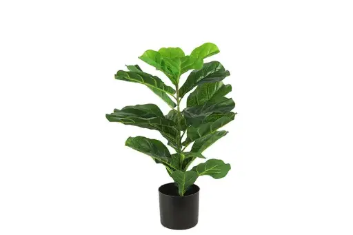 Ficus 70 cm hoog (kunstplant)